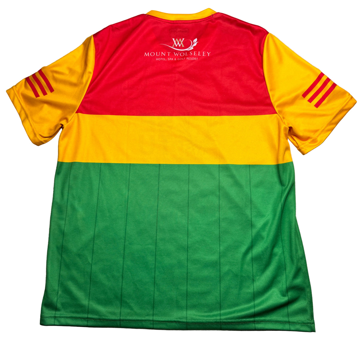 Carlow GAA Jersey - O'Neills GAA and hurling jersey - Jersey King - view 2