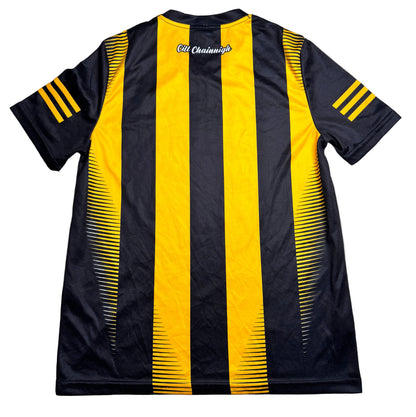 Kilkenny 2023/2024 GAA Jersey - O'Neills GAA and hurling jersey - Jersey King - view 2