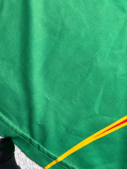 2009/2011 Carlow GAA Player Fit Home Jersey Number 18 - O'Neills GAA and hurling jersey - Jersey King - view 7