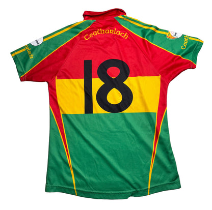 2009/2011 Carlow GAA Player Fit Home Jersey Number 18 - O'Neills GAA and hurling jersey - Jersey King - view 2