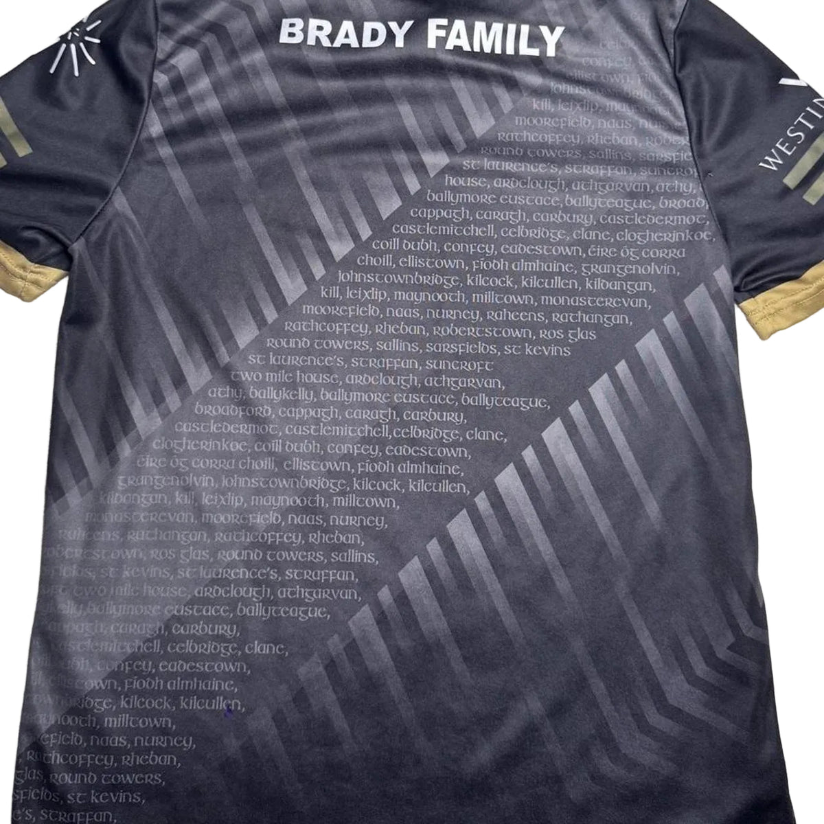 Kildare GAA Alternate Jersey 2024 - O'Neills GAA and hurling jersey - Jersey King - view 2