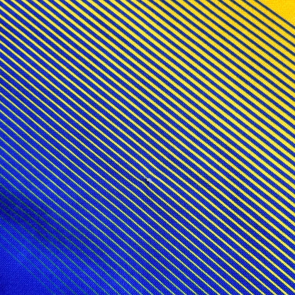 Tight Fit 2019 Roscommon GAA Jersey (Size: Large)